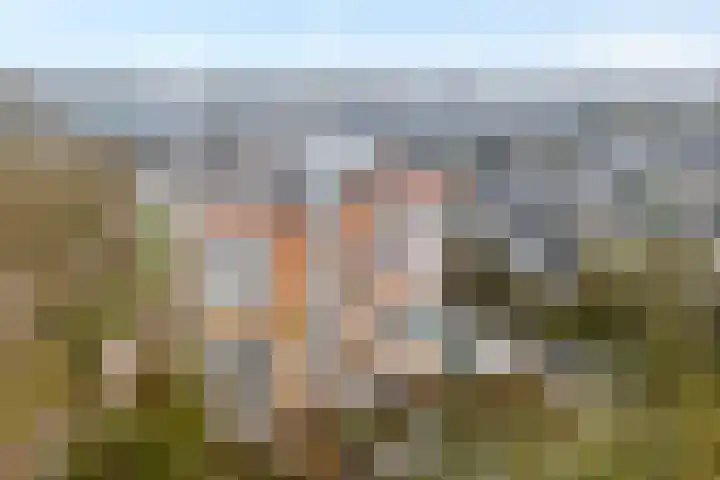 Breitnerhof 34 Meppel thumbnail 32