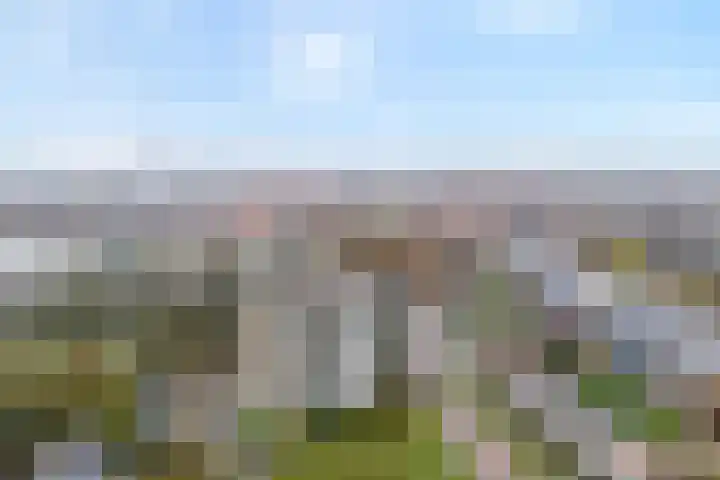 Breitnerhof 34 Meppel thumbnail 33
