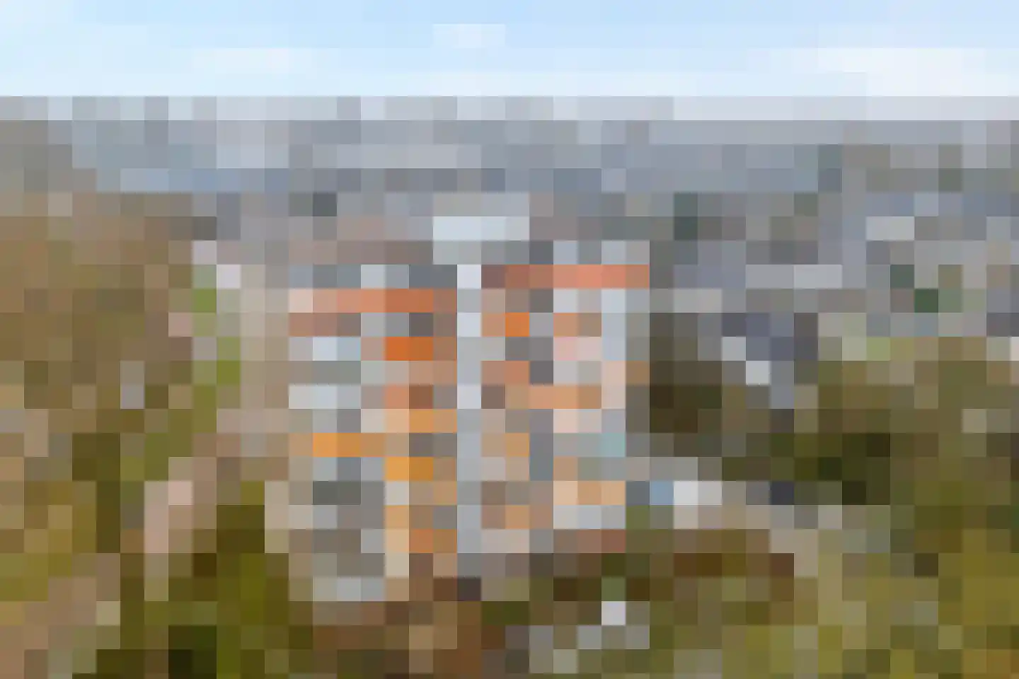 Breitnerhof 34 Meppel thumbnail 34