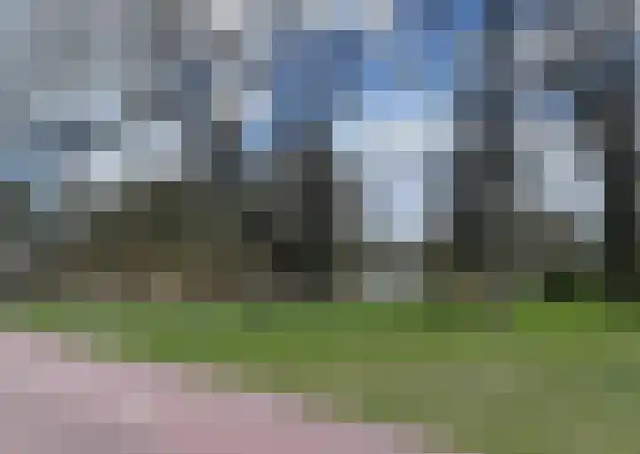 Breitnerhof 34 Meppel thumbnail 36