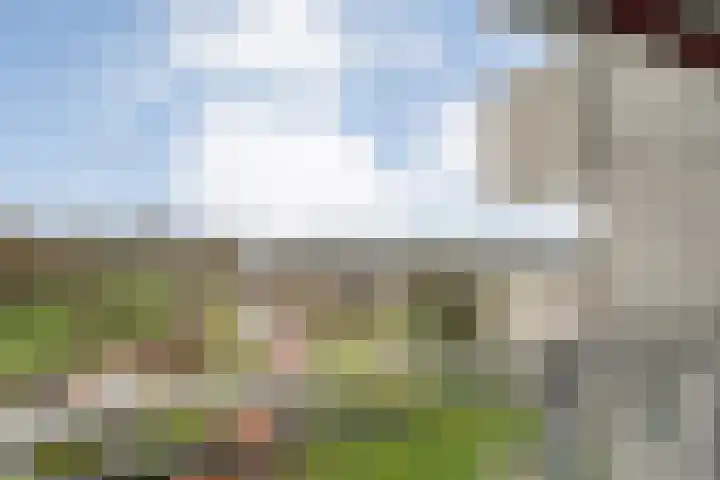 Breitnerhof 34 Meppel thumbnail 7