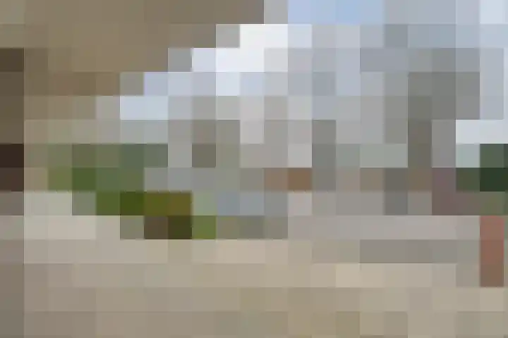 Breitnerhof 34 Meppel thumbnail 8