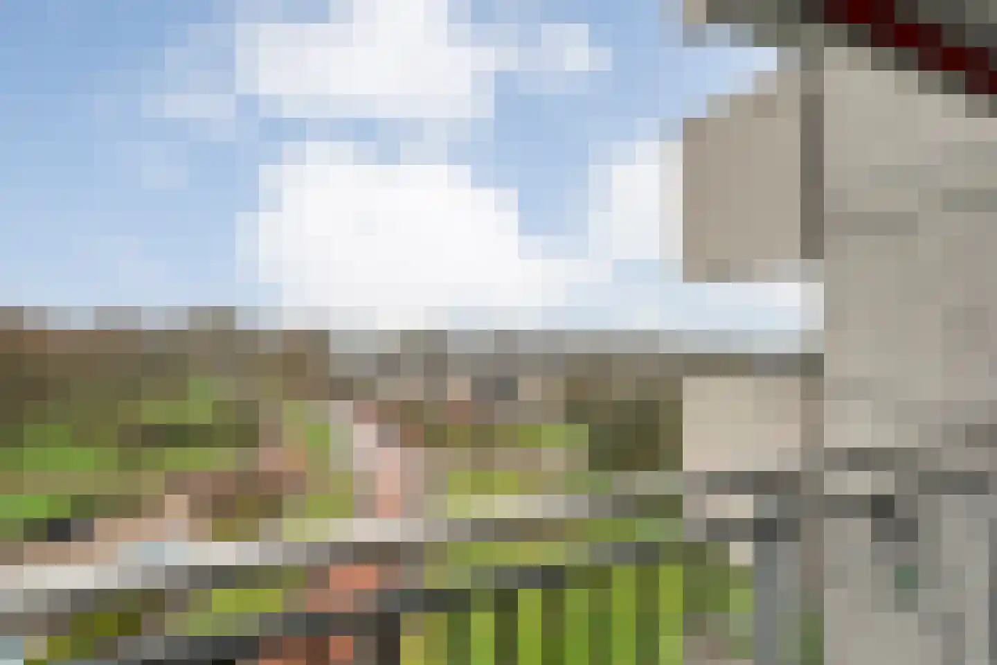 Breitnerhof 34 Meppel thumbnail 8