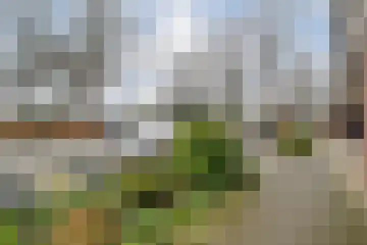 Breitnerhof 34 Meppel thumbnail 9