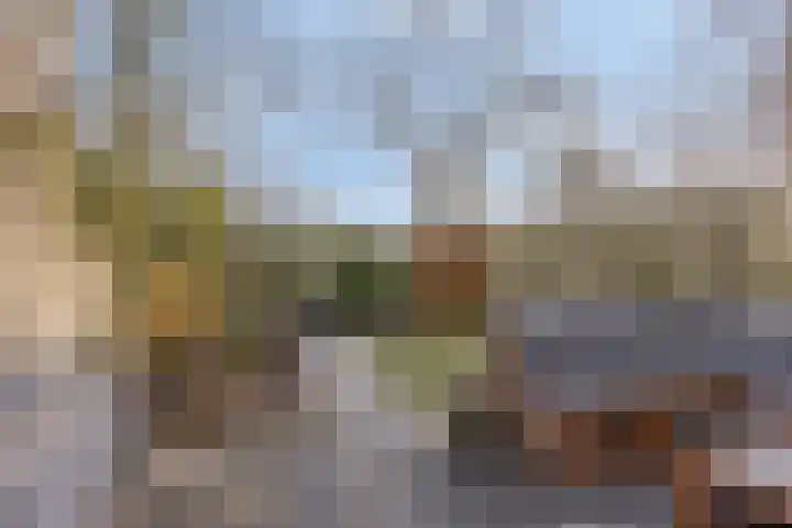 Breitnerhof 70 Meppel thumbnail 27