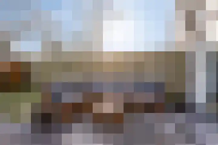 Breitnerhof 70 Meppel thumbnail 28