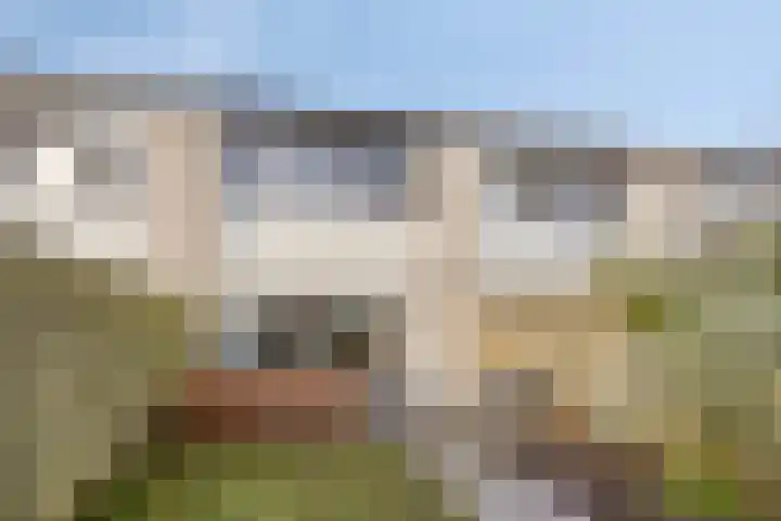 Breitnerhof 70 Meppel thumbnail 29