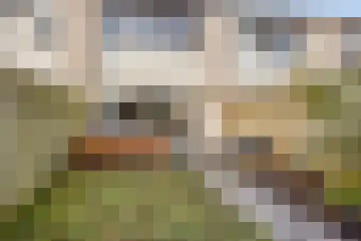 Breitnerhof 70 Meppel thumbnail 30