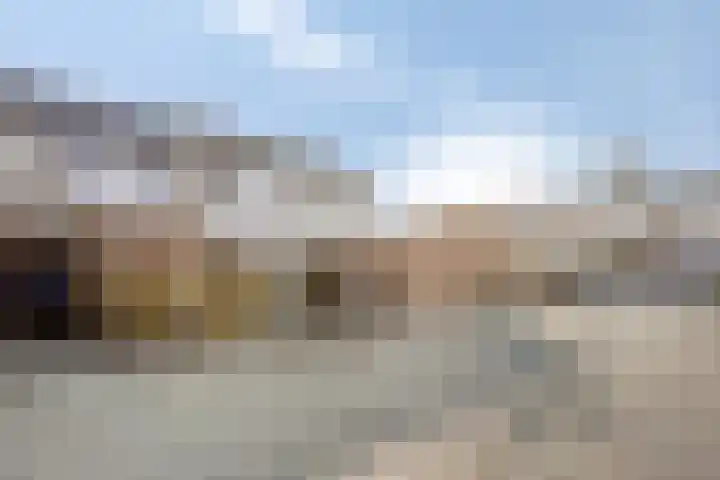 Breitnerhof 70 Meppel thumbnail 31
