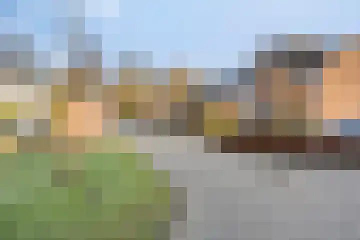 Breitnerhof 70 Meppel thumbnail 32