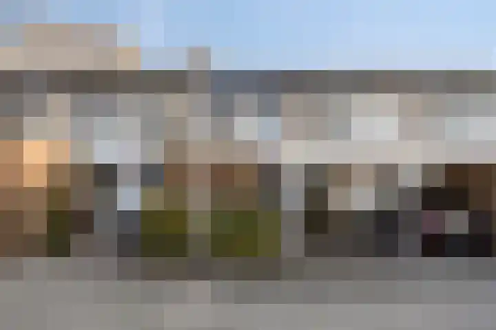Breitnerhof 70 Meppel thumbnail 6