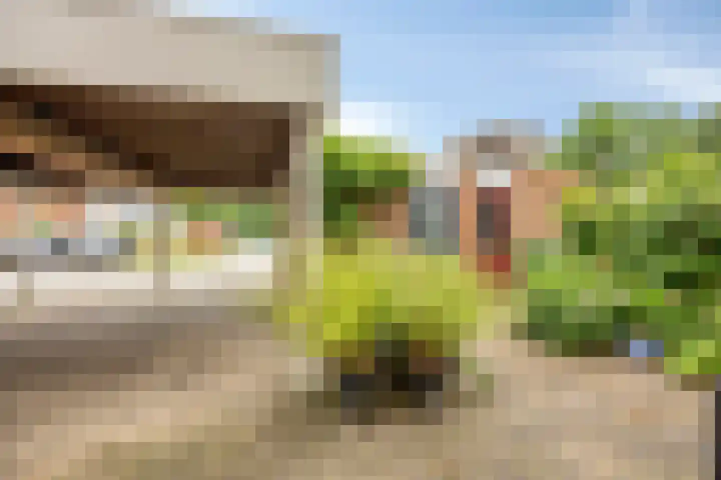 Breitnerhof 9 Meppel thumbnail 10