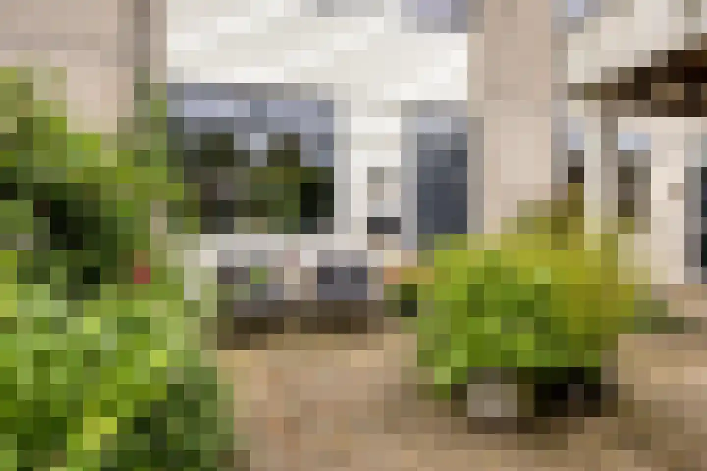 Breitnerhof 9 Meppel thumbnail 11