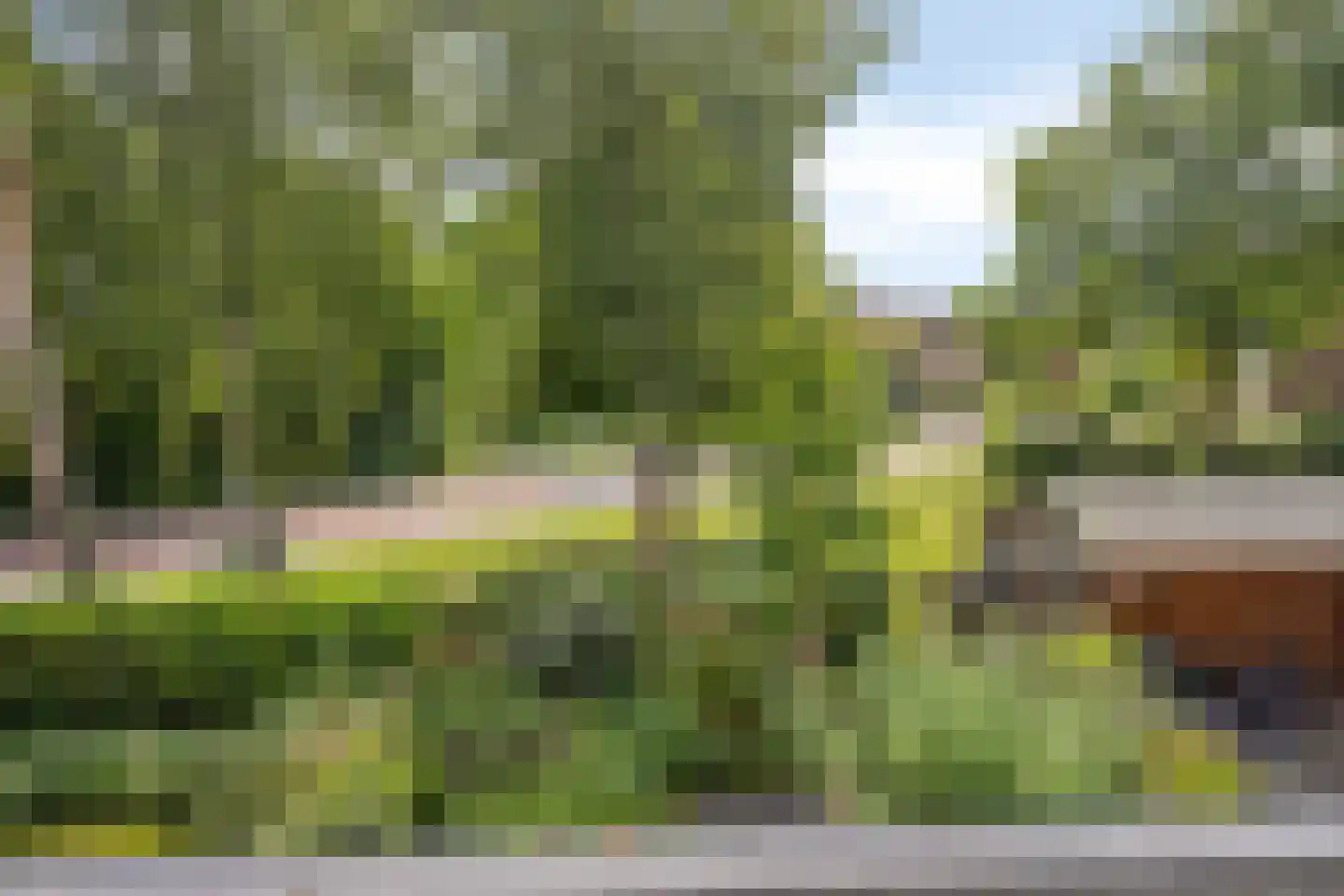 Breitnerhof 9 Meppel thumbnail 30
