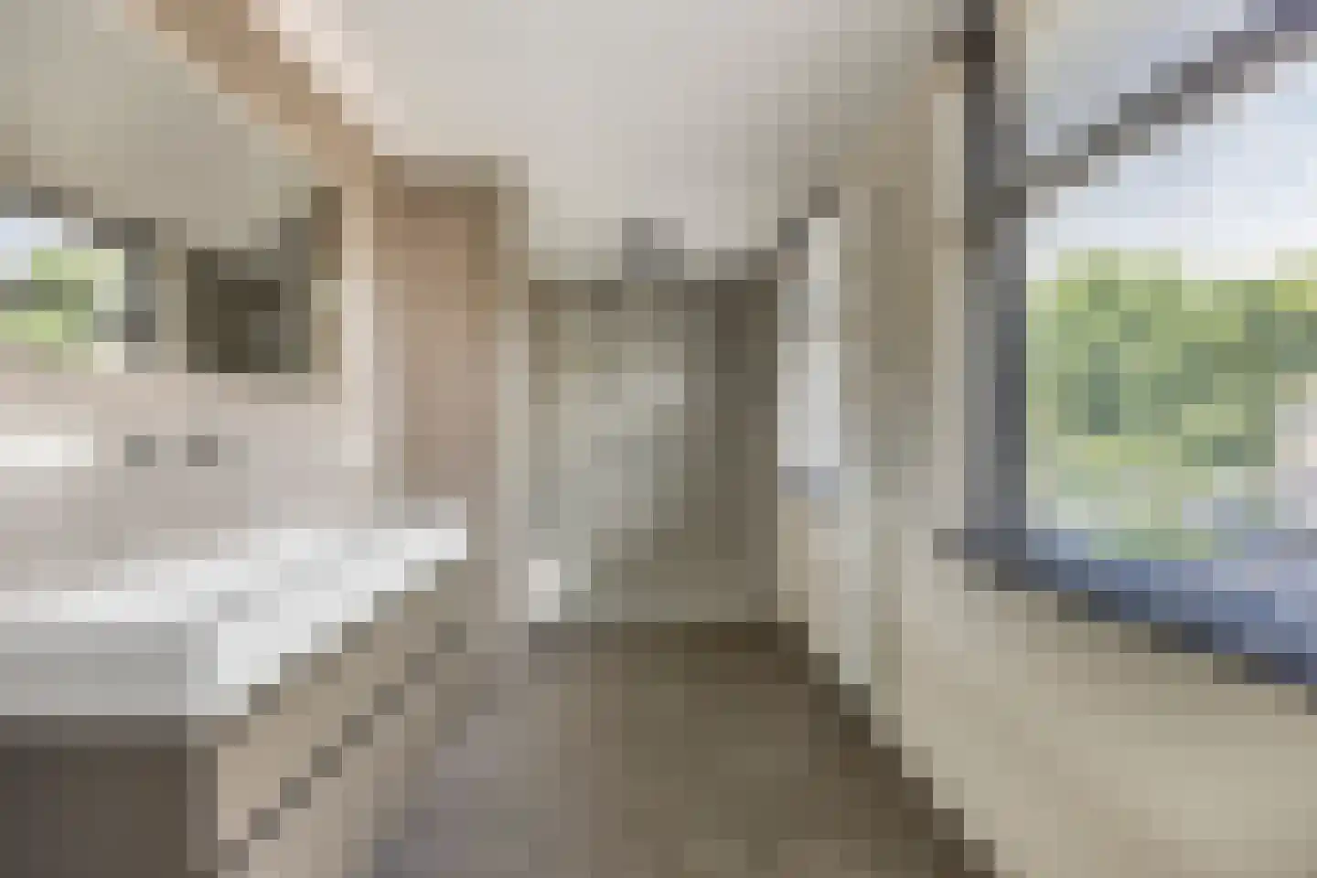 Breitnerhof 9 Meppel thumbnail 4