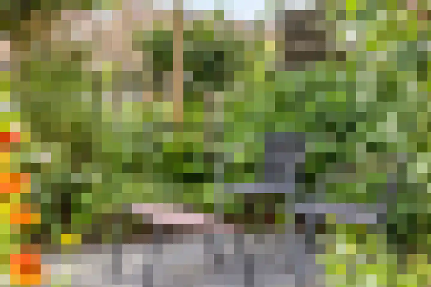 Breitnerhof 9 Meppel thumbnail 43