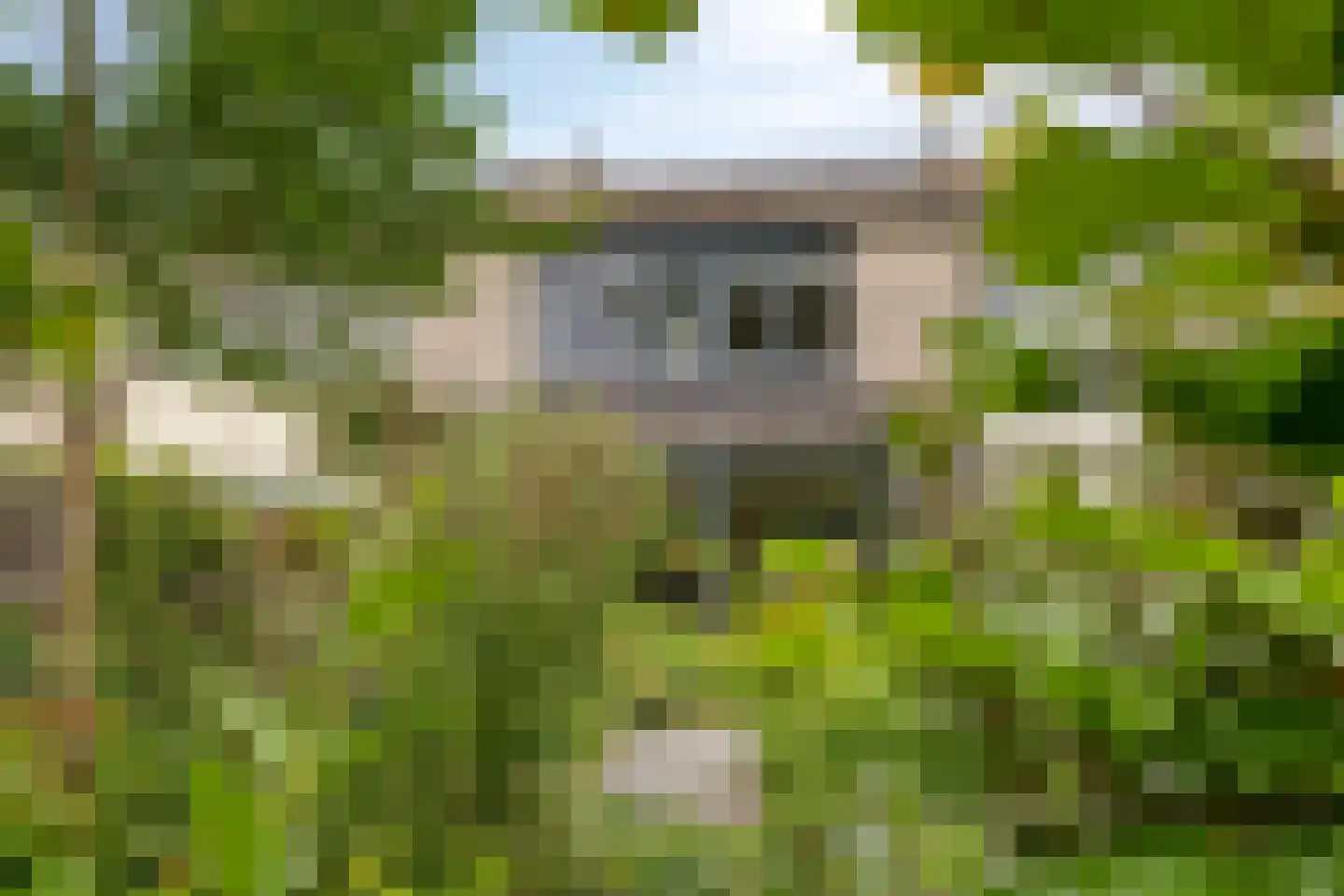 Breitnerhof 9 Meppel thumbnail 51