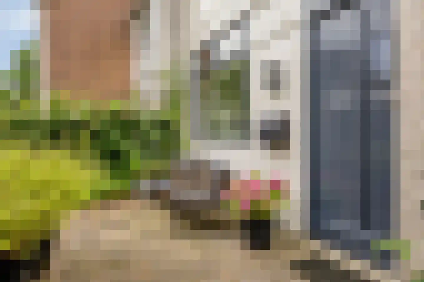 Breitnerhof 9 Meppel thumbnail 9