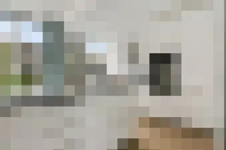 Breitnerlaan 1 Woudenberg thumbnail 11