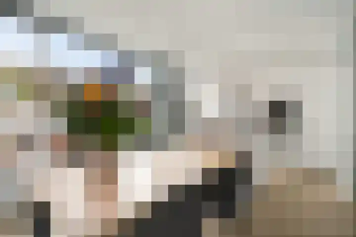 Breitnerlaan 1 Woudenberg thumbnail 12