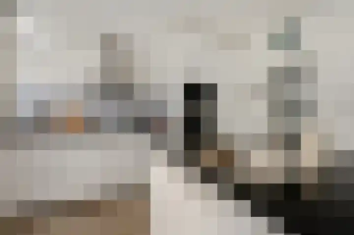 Breitnerlaan 1 Woudenberg thumbnail 14