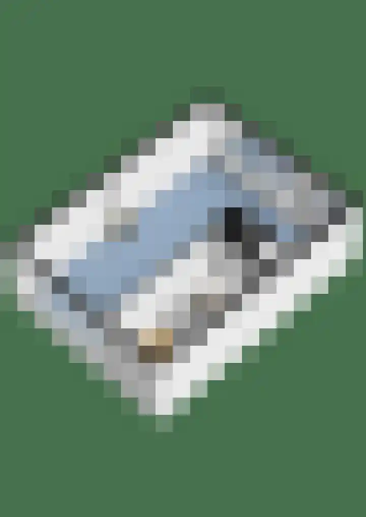 Breitnerlaan 1 Woudenberg thumbnail 33