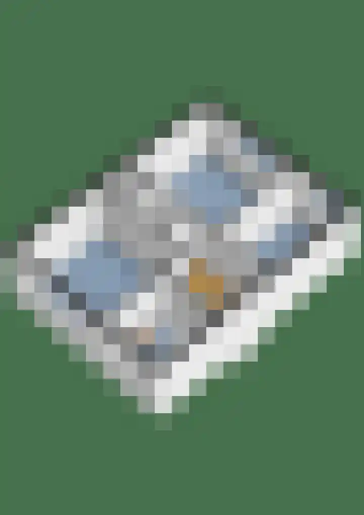 Breitnerlaan 1 Woudenberg thumbnail 37