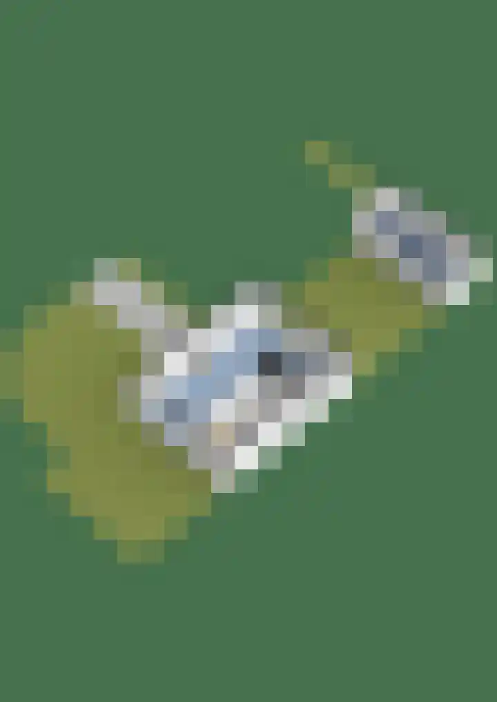 Breitnerlaan 1 Woudenberg thumbnail 39