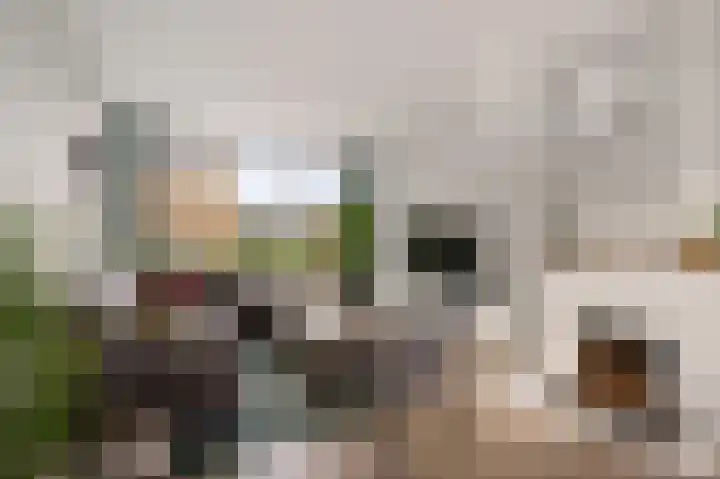 Breitnerlaan 1 Woudenberg thumbnail 8