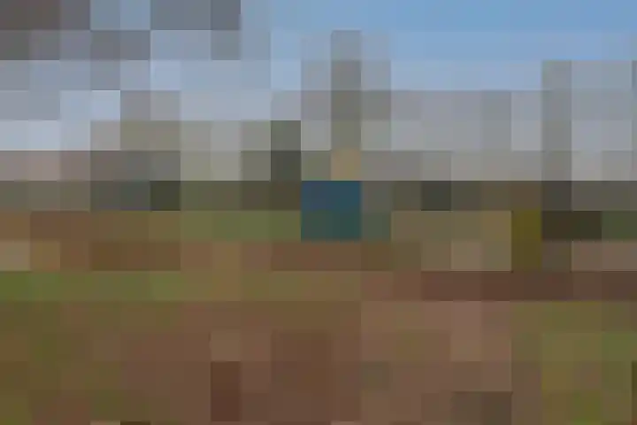 Breitnerlaan 10 Helmond thumbnail 31
