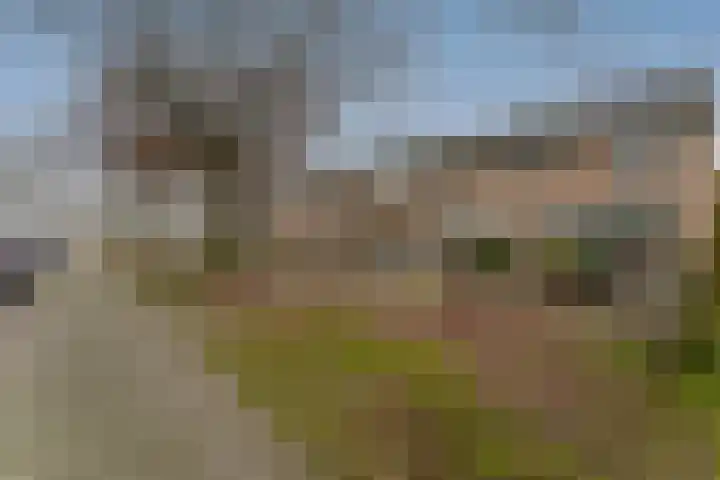 Breitnerlaan 10 Helmond thumbnail 34