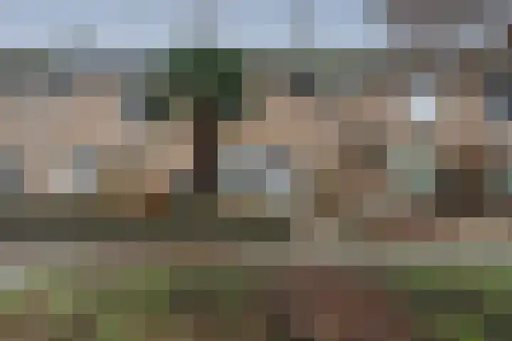 Breitnerlaan 10 Helmond thumbnail 35