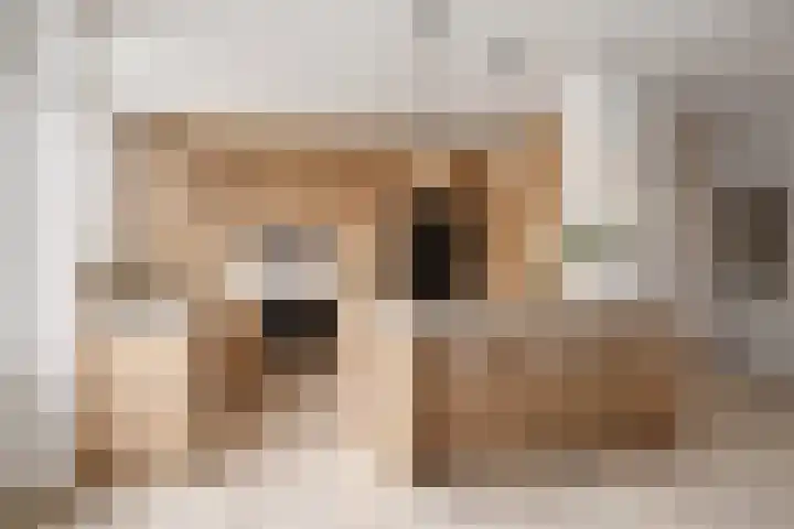 Breitnerlaan 10 Helmond thumbnail 8