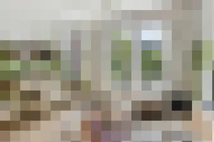 Breitnerlaan 11 Rhoon thumbnail 10