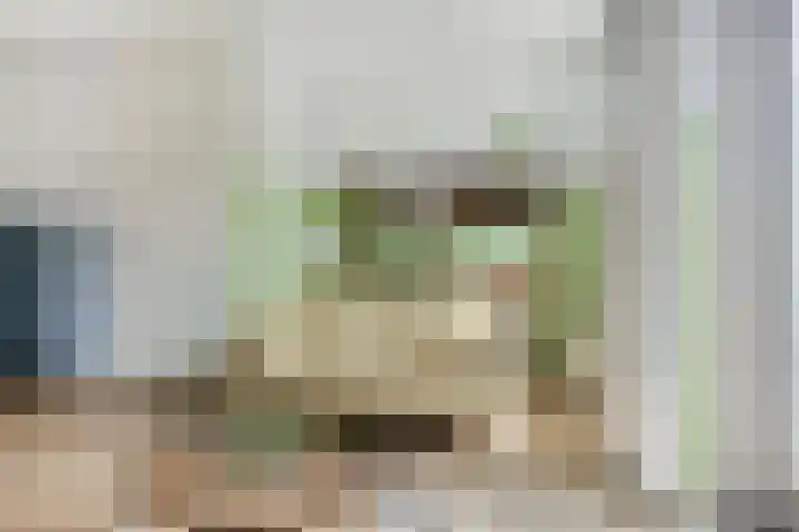 Breitnerlaan 11 Rhoon thumbnail 11