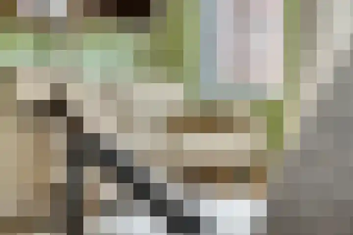 Breitnerlaan 11 Rhoon thumbnail 12