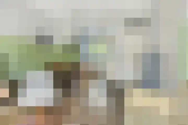 Breitnerlaan 11 Rhoon thumbnail 13