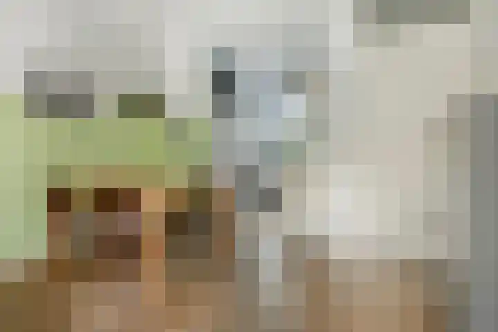 Breitnerlaan 11 Rhoon thumbnail 14