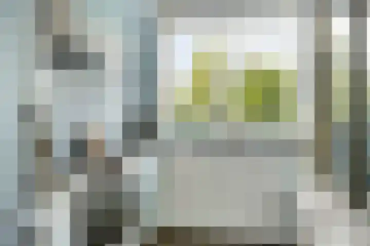 Breitnerlaan 11 Rhoon thumbnail 15