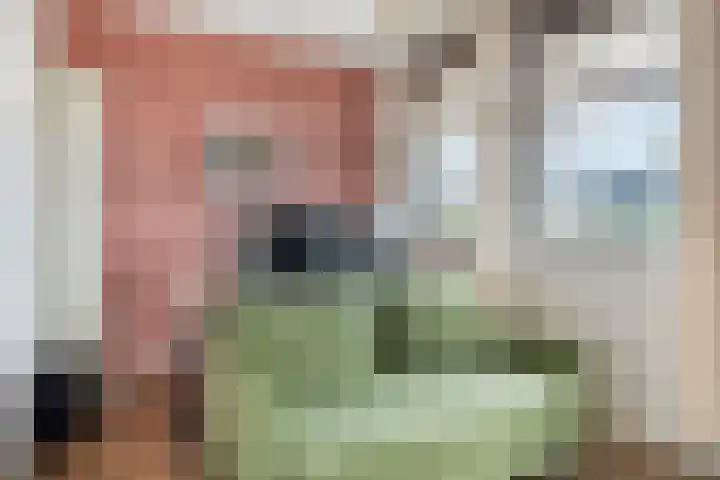 Breitnerlaan 11 Rhoon thumbnail 19