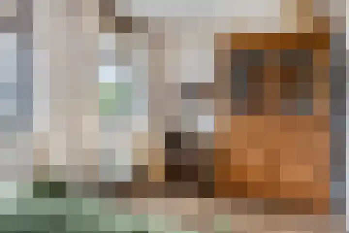 Breitnerlaan 11 Rhoon thumbnail 20