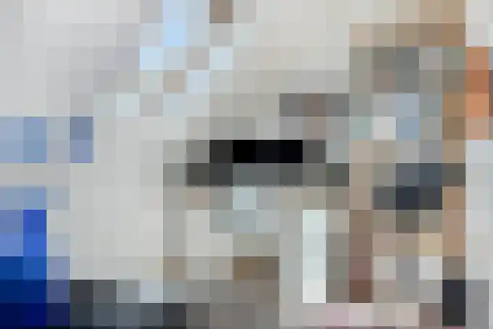Breitnerlaan 11 Rhoon thumbnail 26