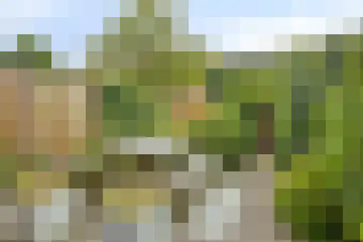 Breitnerlaan 11 Rhoon thumbnail 27
