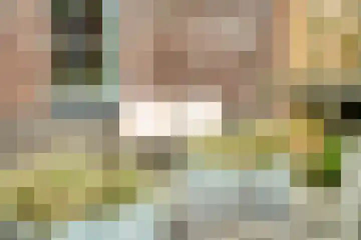 Breitnerlaan 11 Rhoon thumbnail 28