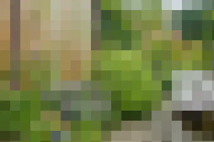 Breitnerlaan 11 Rhoon thumbnail 29