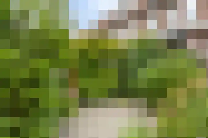 Breitnerlaan 11 Rhoon thumbnail 30