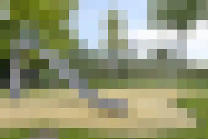 Breitnerlaan 11 Rhoon thumbnail 34