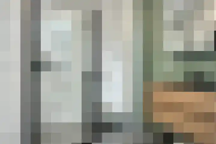 Breitnerlaan 11 Rhoon thumbnail 4