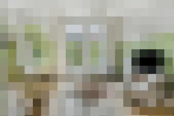 Breitnerlaan 11 Rhoon thumbnail 9