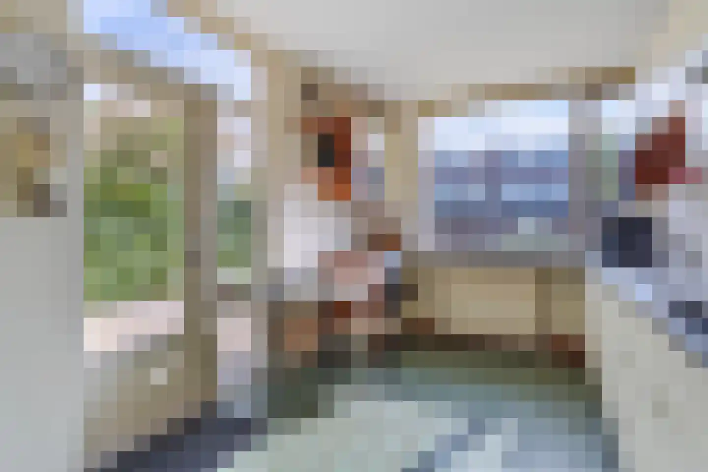 Breitnerlaan 12 Hazerswoude-Dorp thumbnail 12
